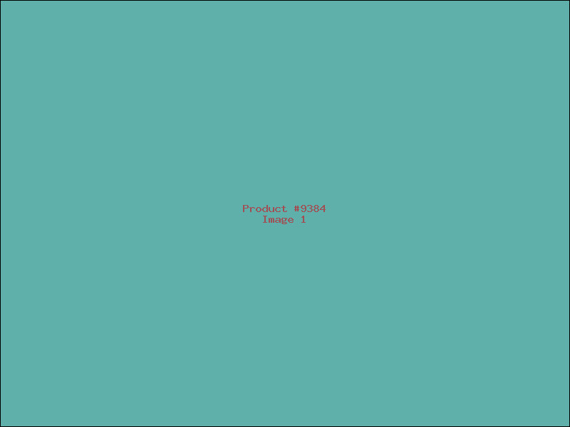 Example Product 9384