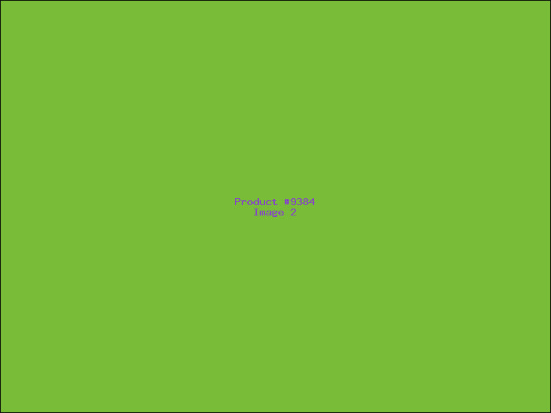 Example Product 9384 - Image 2