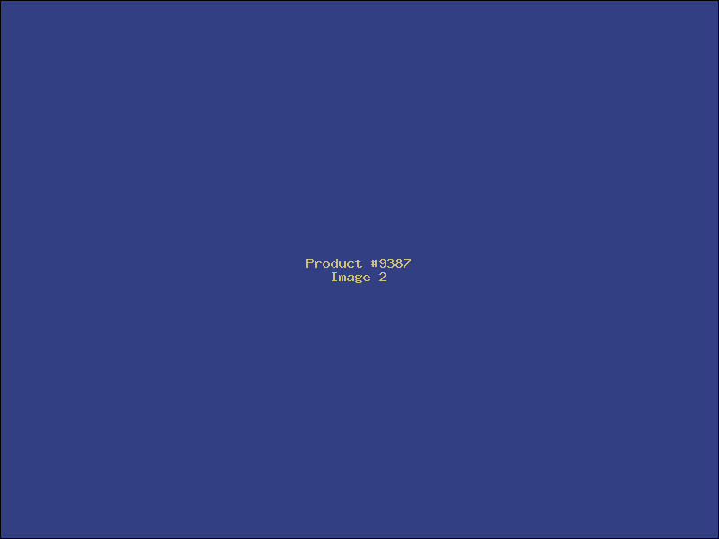 Example Product 9387 - Image 2