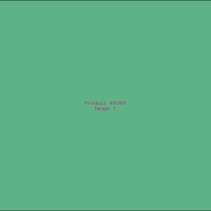 Example Product 9389