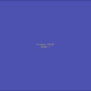 Example Product 9395