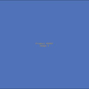 Example Product 9407