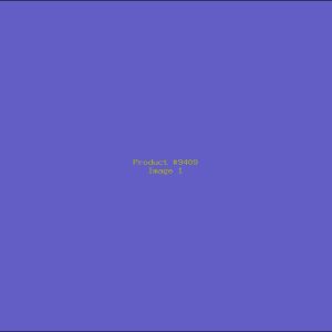 Example Product 9409