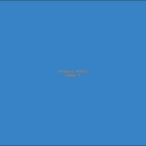 Example Product 9412