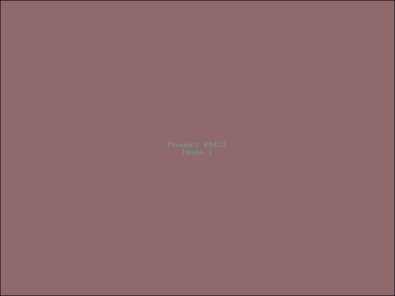 Example Product 9413