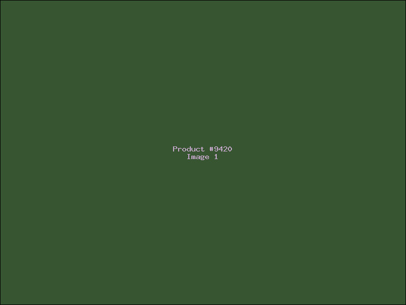 Example Product 9420