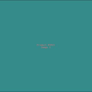 Example Product 9421