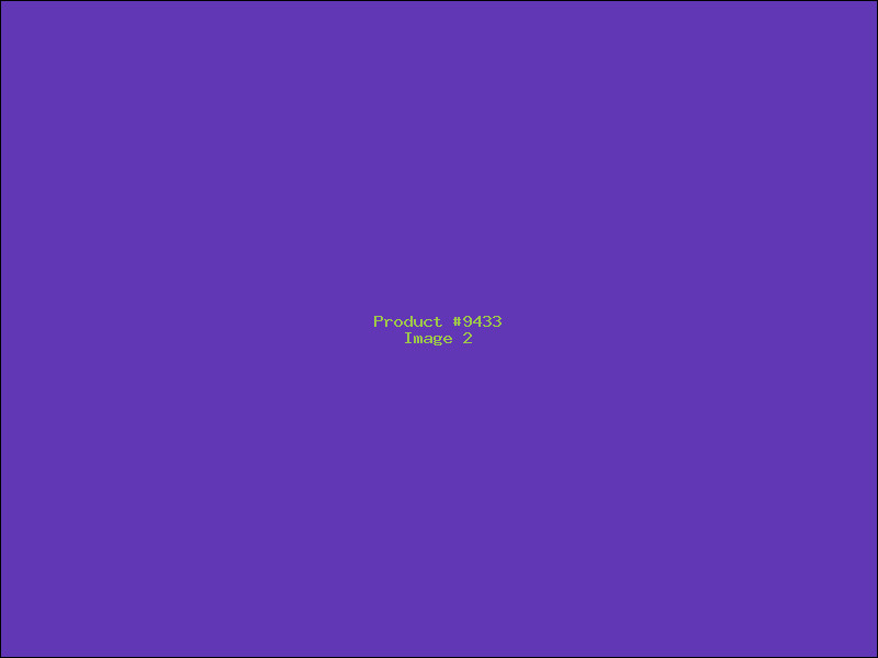 Example Product 9433 - Image 2