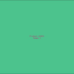 Example Product 9453