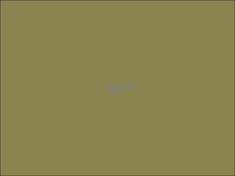Example Product 9460