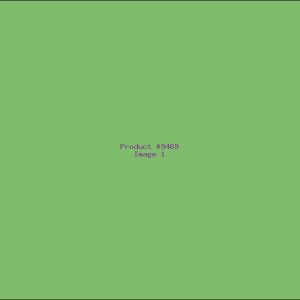Example Product 9469