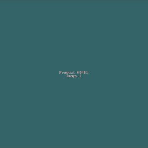 Example Product 9481