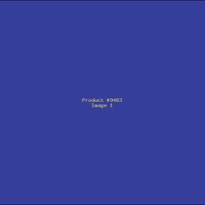 Example Product 9483