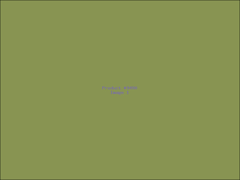 Example Product 9490