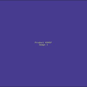 Example Product 9497
