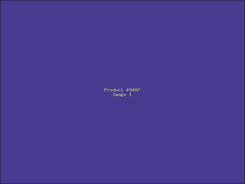Example Product 9497