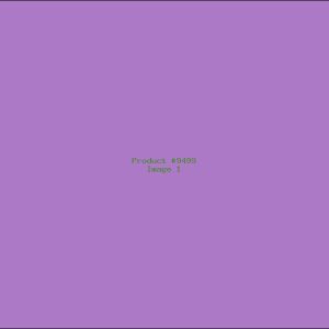 Example Product 9499