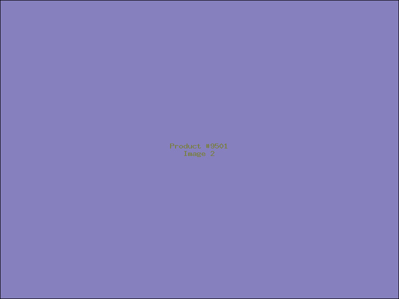 Example Product 9501 - Image 2