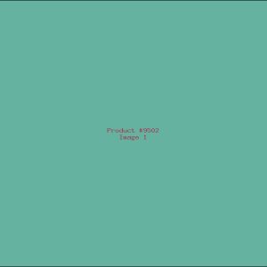 Example Product 9502