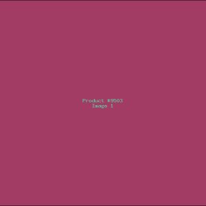 Example Product 9503