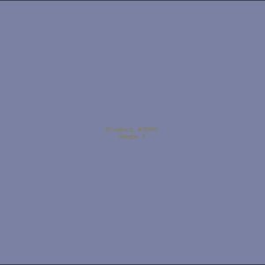 Example Product 9505