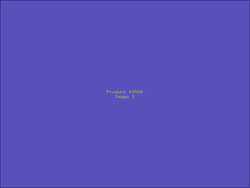 Example Product 9508