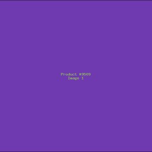 Example Product 9509