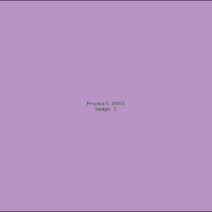 Example Product 951