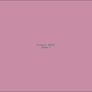 Example Product 9511
