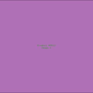 Example Product 9512