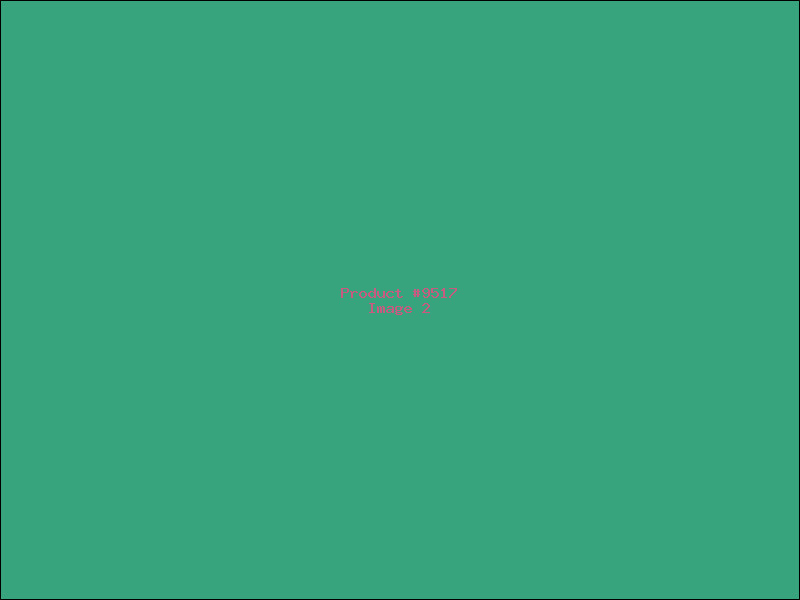 Example Product 9517 - Image 2