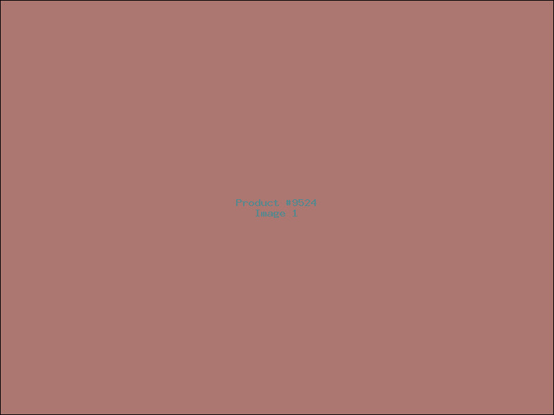 Example Product 9524