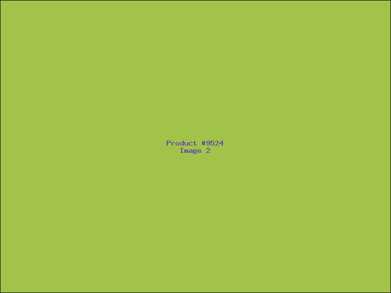 Example Product 9524 - Image 2