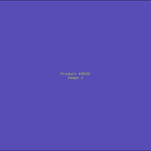 Example Product 9526