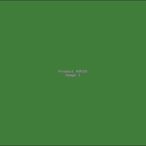 Example Product 9529