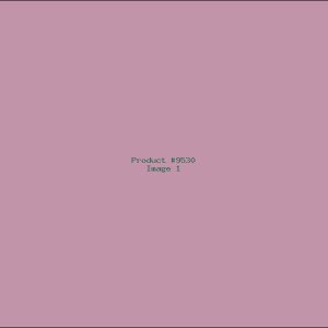 Example Product 9530