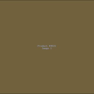 Example Product 9531