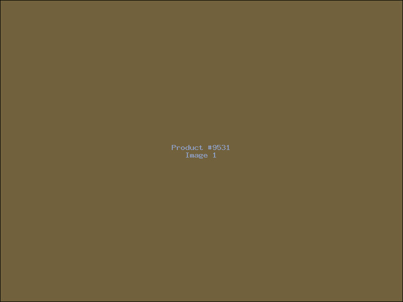 Example Product 9531