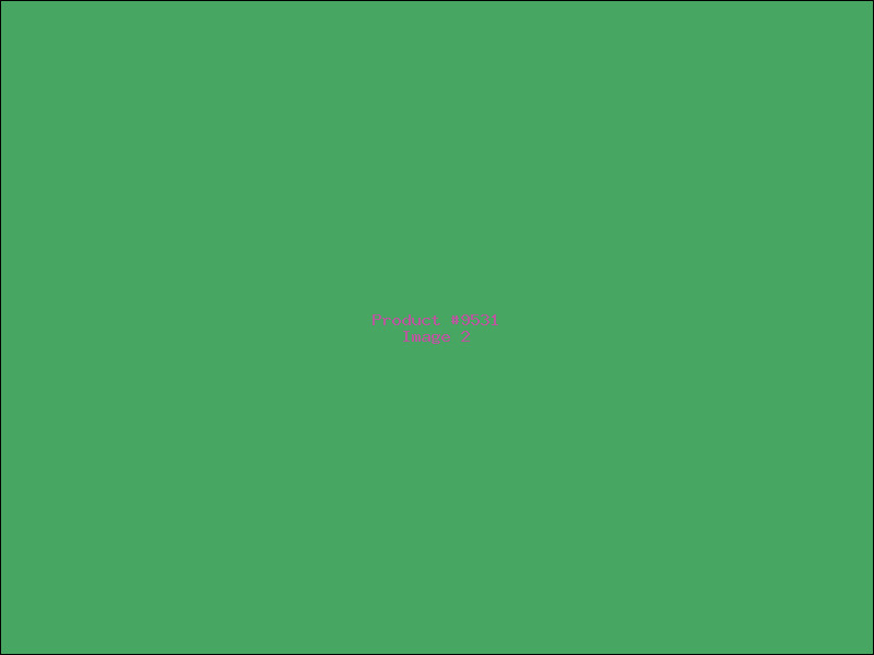 Example Product 9531 - Image 2