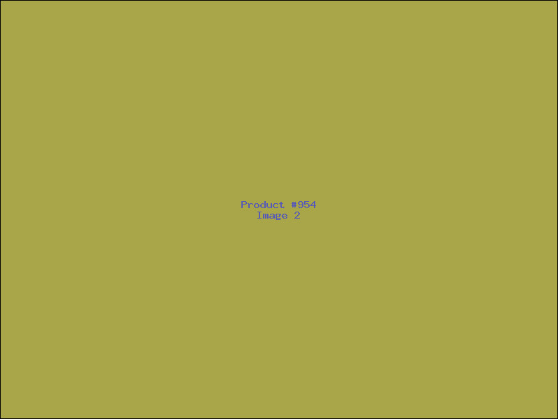 Example Product 954 - Image 2