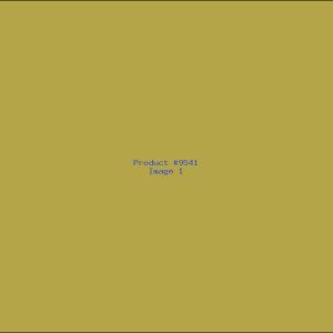 Example Product 9541