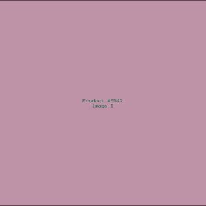Example Product 9542