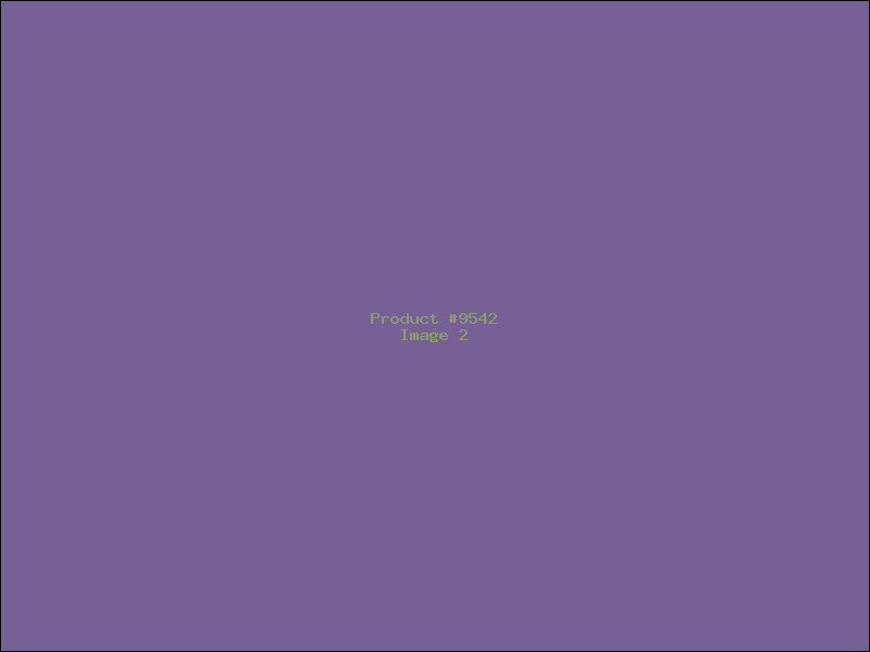 Example Product 9542 - Image 2