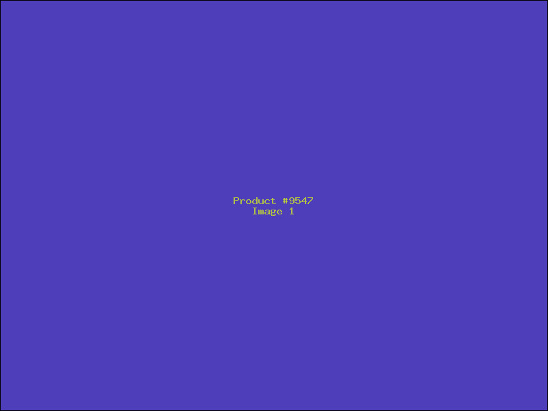 Example Product 9547