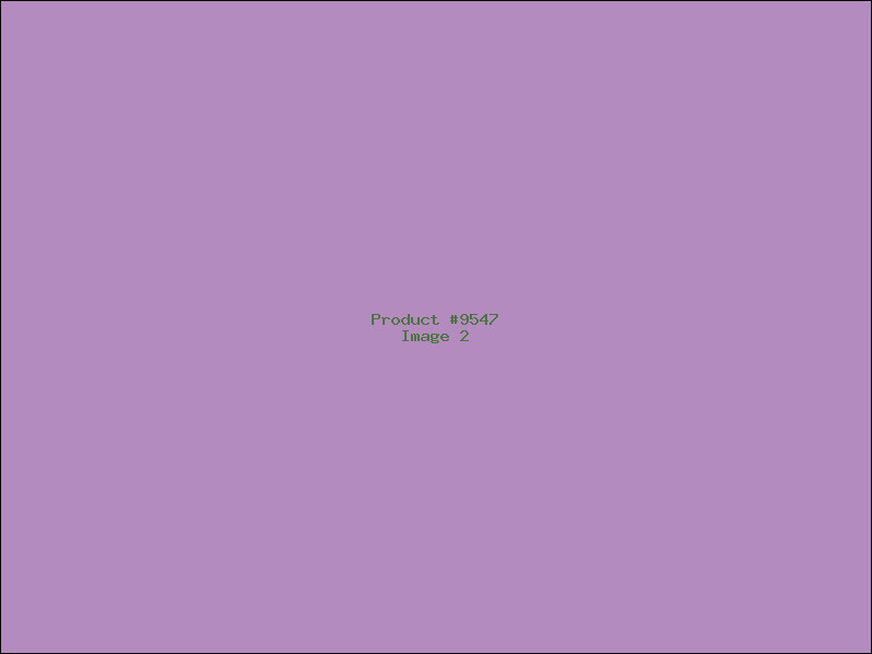 Example Product 9547 - Image 2