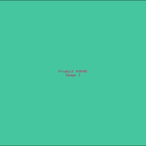 Example Product 9548