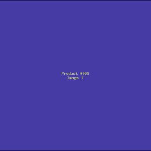 Example Product 955