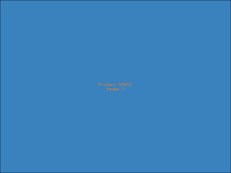 Example Product 9553
