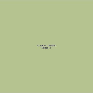 Example Product 9559
