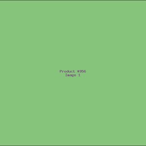 Example Product 956